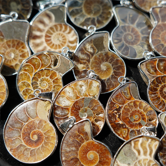 Ammonite Key Chain Ammonite Pendant Crystal Healing Bulk Wholesale