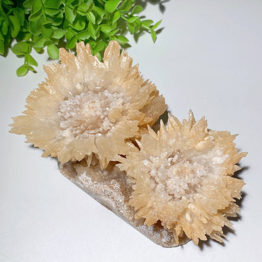 Unique Double Flower Calcite Specimen
