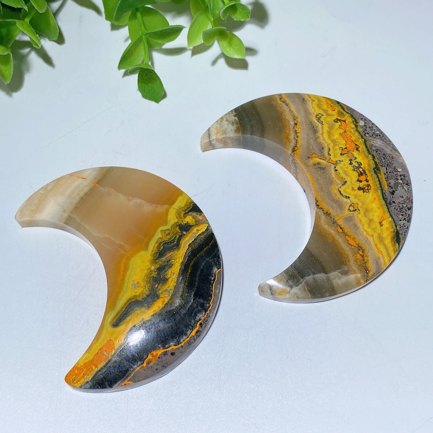 Bumble Bee Jasper Heart Moon Carvings Crystal Healing Bulk Wholesale