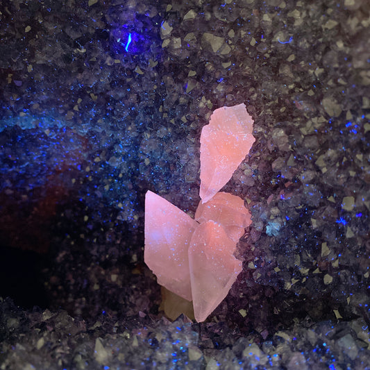 Large Unique UV Reactive Amethyst Grow with Pink Calcite Specimen Crystal Healing