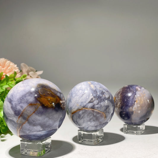 2.0"-2.8" Pterocarpus Santalinus Petrifield Wood Sphere Crystal Healing Bulk Wholesale