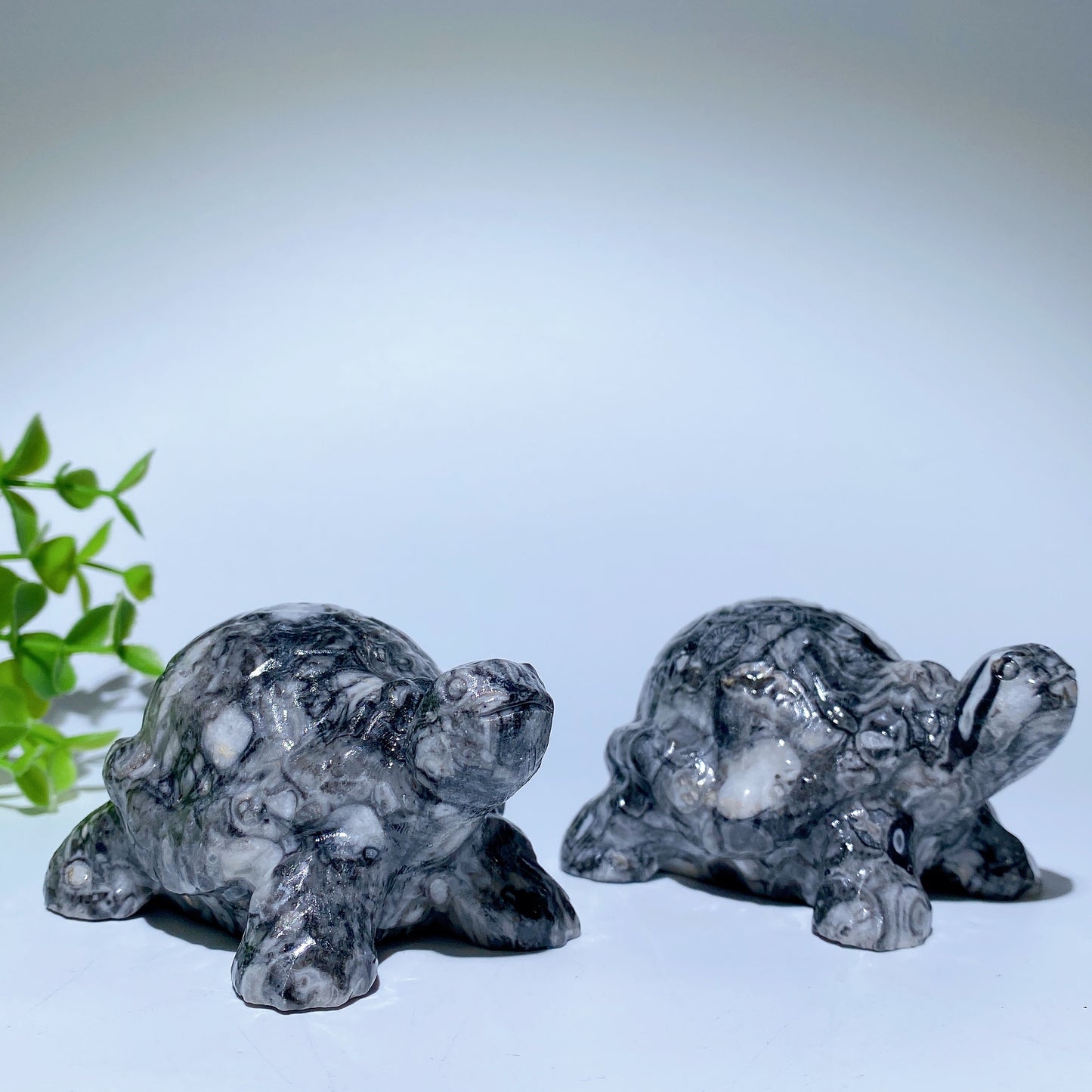 3.0" Fossil Stone Turtle Carvings Crystal Healing Bulk Wholesale