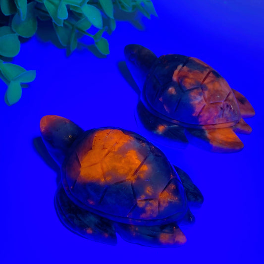 2.7" UV Reactive Hackmanite Turtle Carvings Crystal Healing Bulk Wholesale