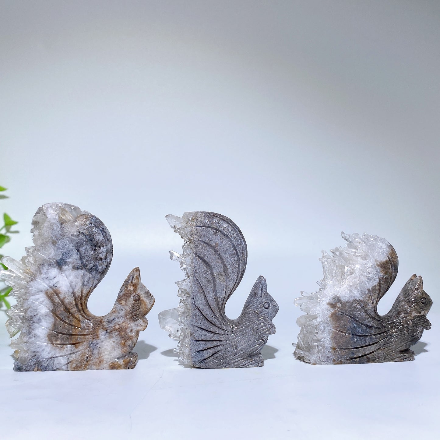 2.3"-2.5" Clear Quartz Cluster Squirrel Carvings Crystal Healing Bulk Wholesale