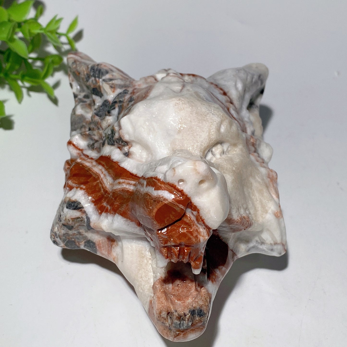 6.5" Chocolate Calcite Wolf Head Carvings Crystal Healing Bulk Wholesale