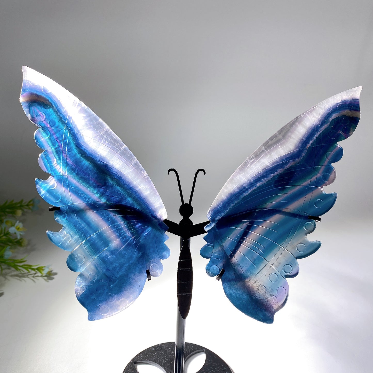 12-22cm Rainbow Fluorite Butterfly Wings Carvings with Stand Free Form Crystal Healing Bulk Wholesale