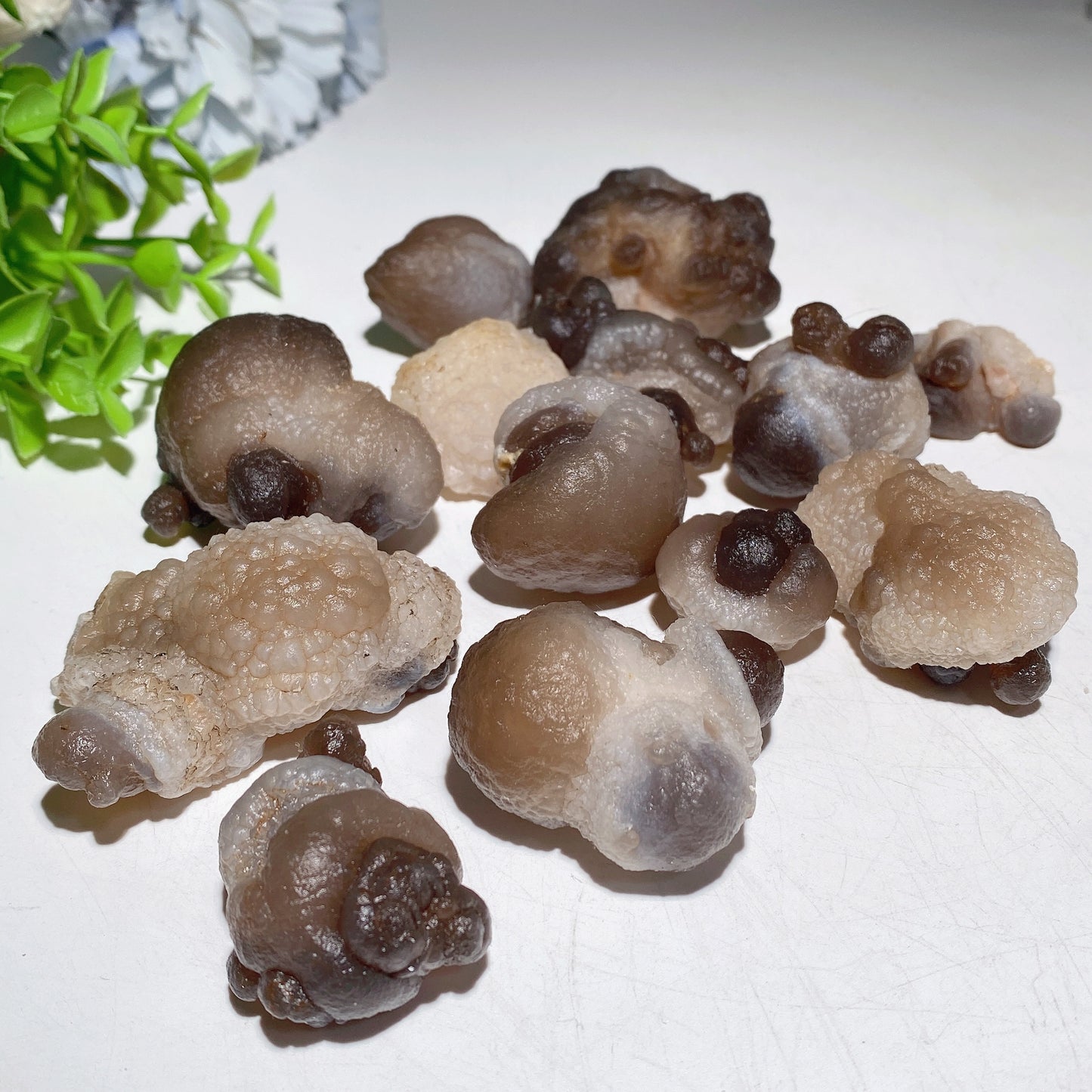 2-5cm Panda Agate Raw Stone Bag Crystal Healing Bulk Wholesale