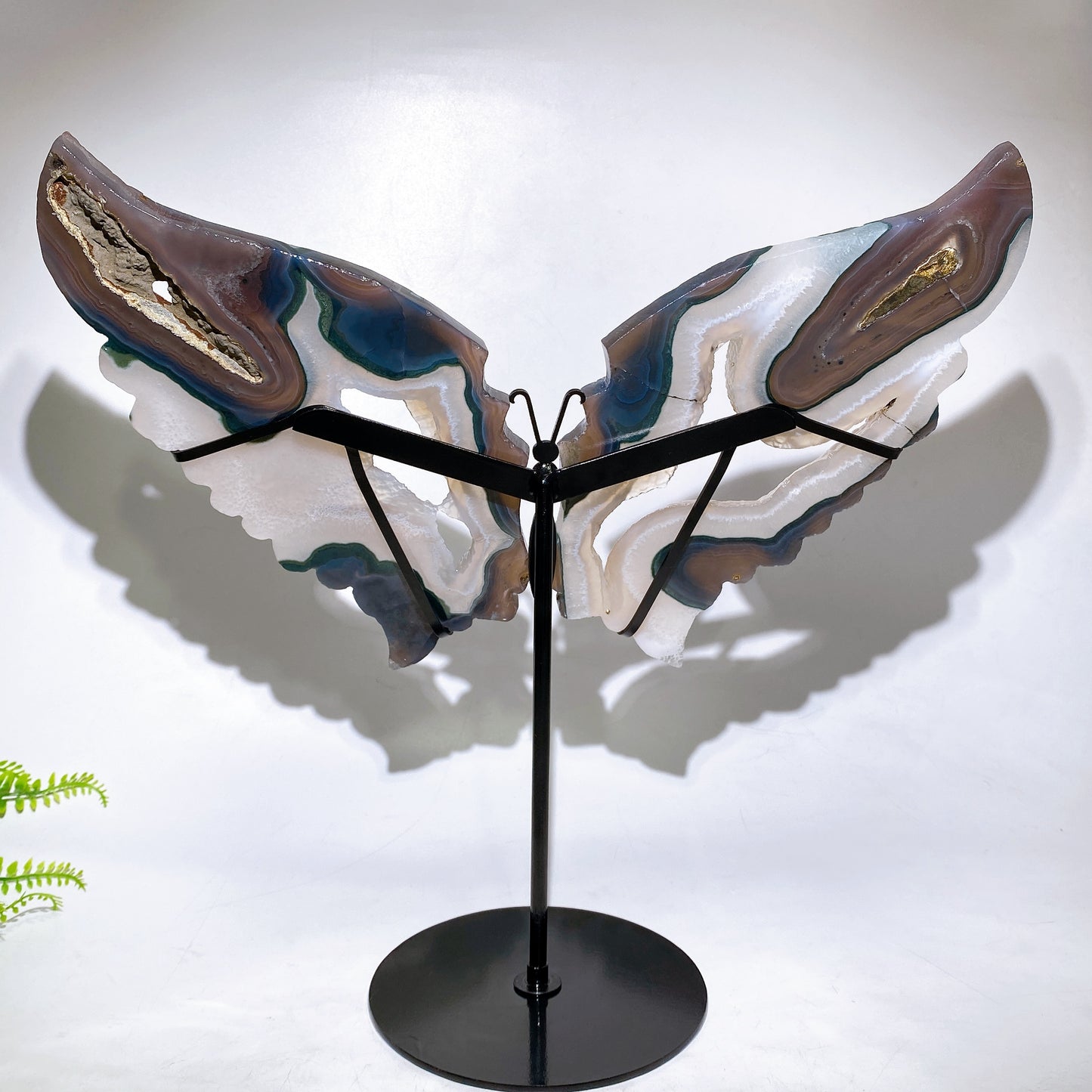 Large Unqiue Natural Druzy Agate Butterfly Wings with Stand Wholesale