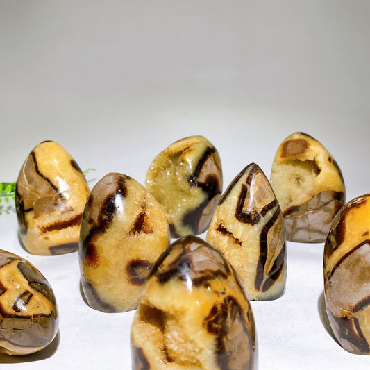 2.2"-4.0" Natural Serptarium Egg Wholesale
