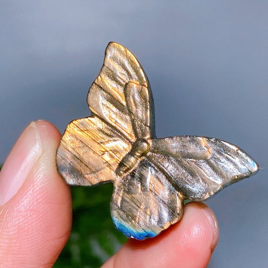 1.3" Labradorite Butterfly Carving Wholesale