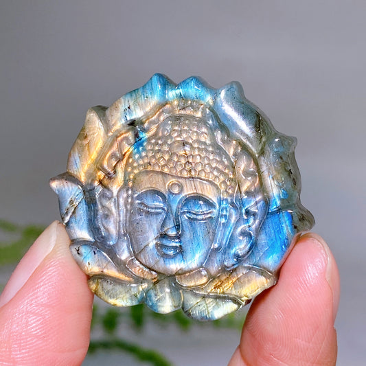 1.6" Labradorite Buddha Head Round Slab Carving Wholesale New Arrival