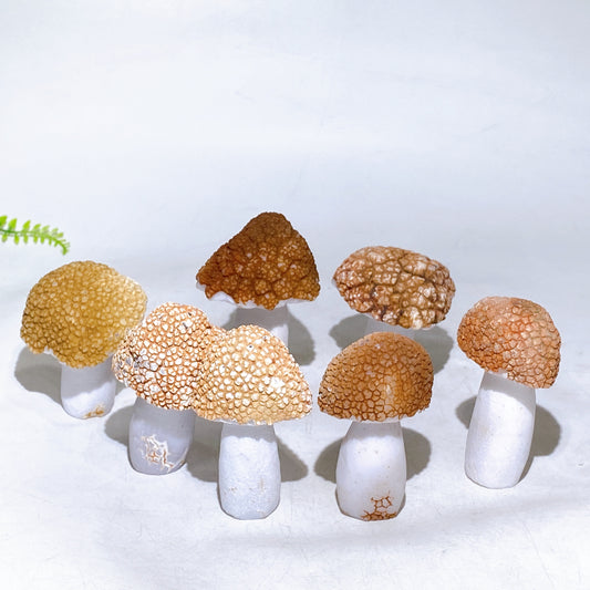 2.5"-3.3" Natural Agate Mushroom Carving Wholesale New Arrival