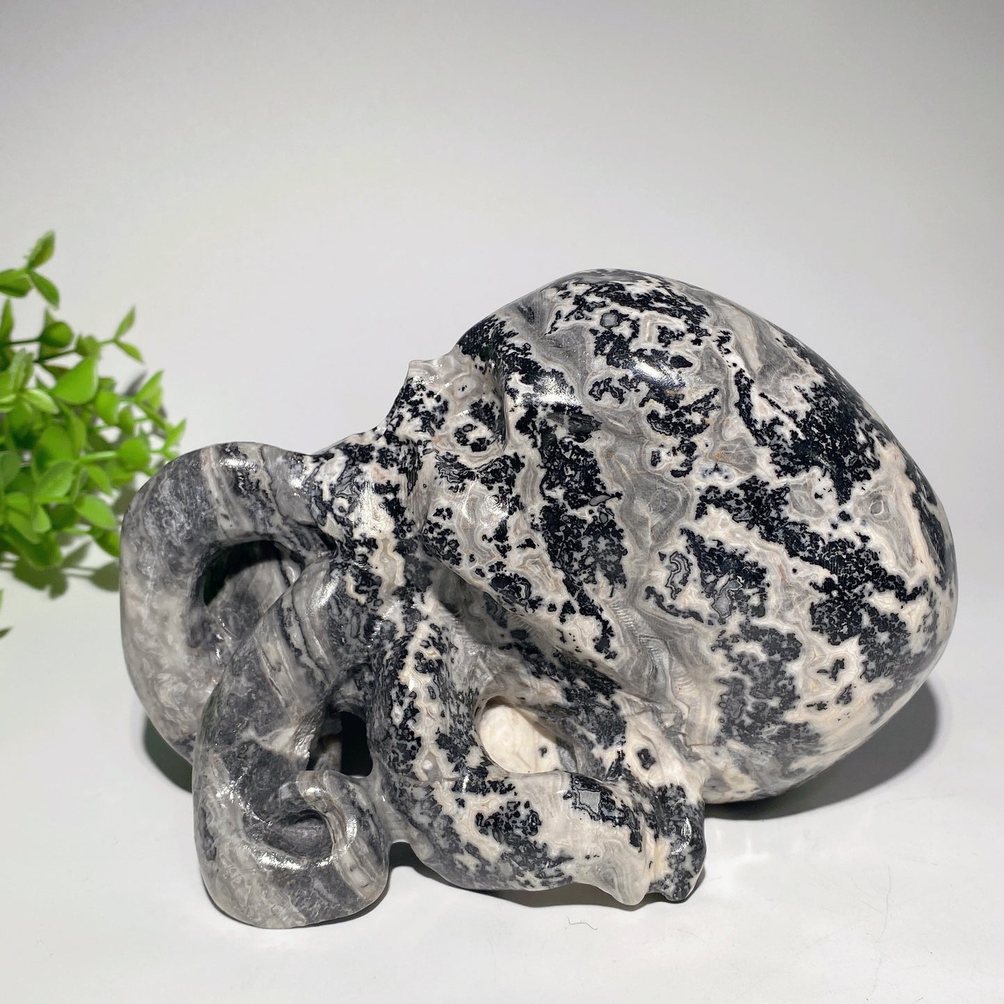 6.2" Picasso Stone Octopus Skull Cavings for Halloween Crystal Healing Bulk Wholesale