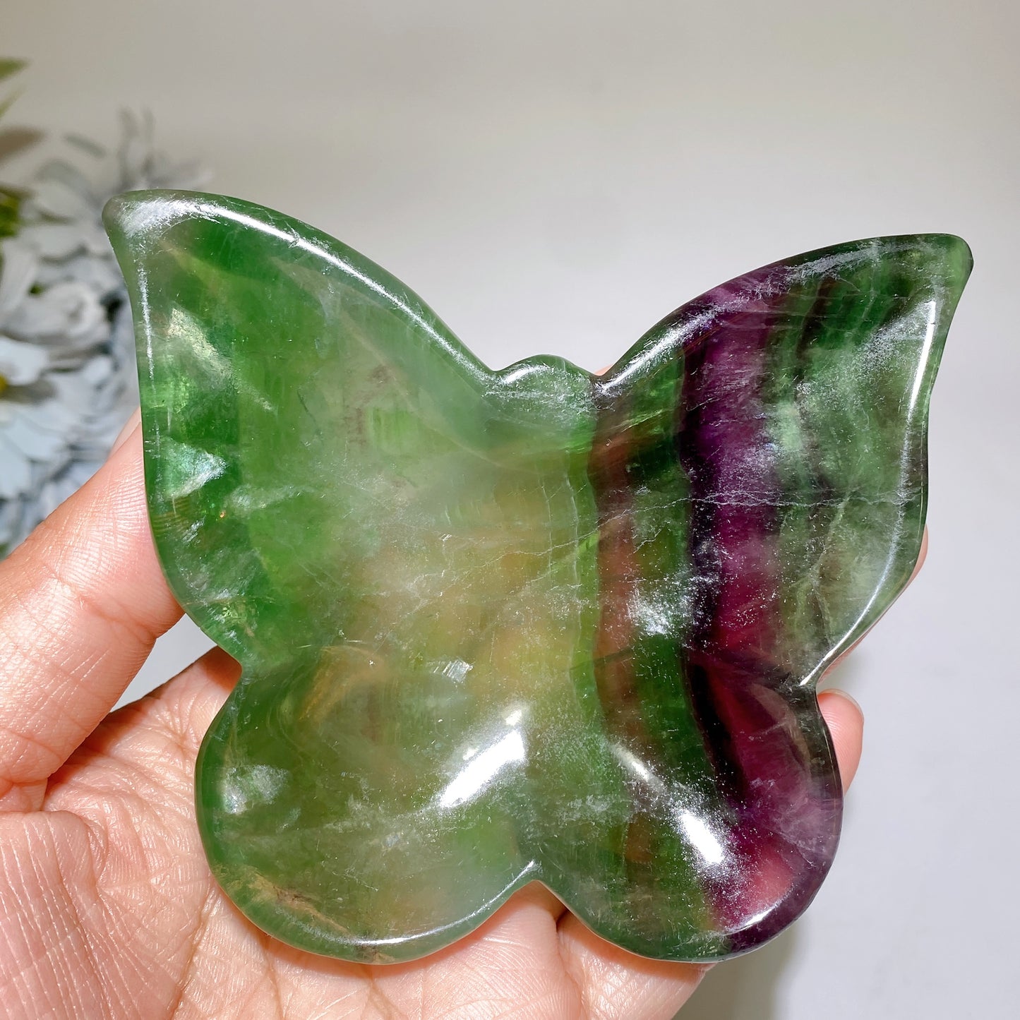4.0" Fluorite Butterfly Bowl Carving Crystal Healing Bulk Wholesale