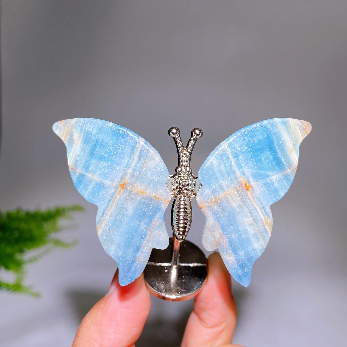 Natural Crystal Butterfly with Fixed Metal Stand Wholesale New Arrival