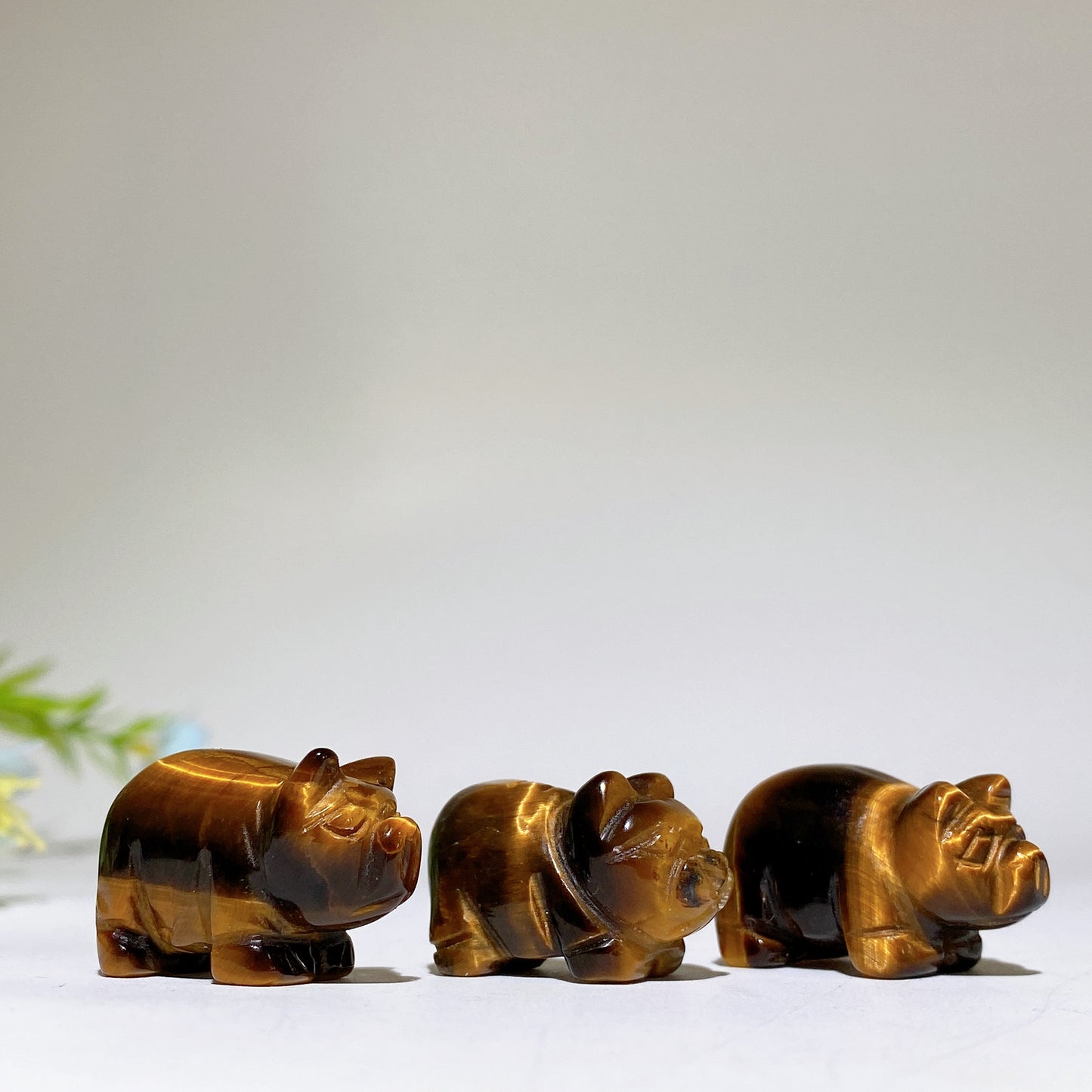 0.9" Yellow Tiger's Eye Pig Carvings Crystal Healing Bulk Wholesale