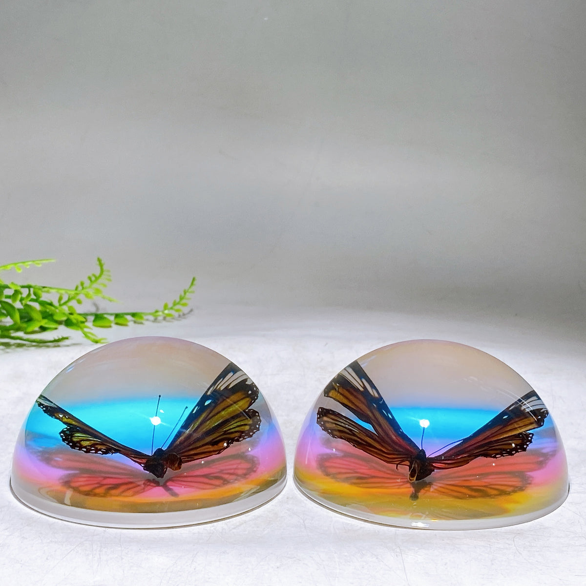 90mm Aura Half Resin Sphere with Butterfly Wholesale