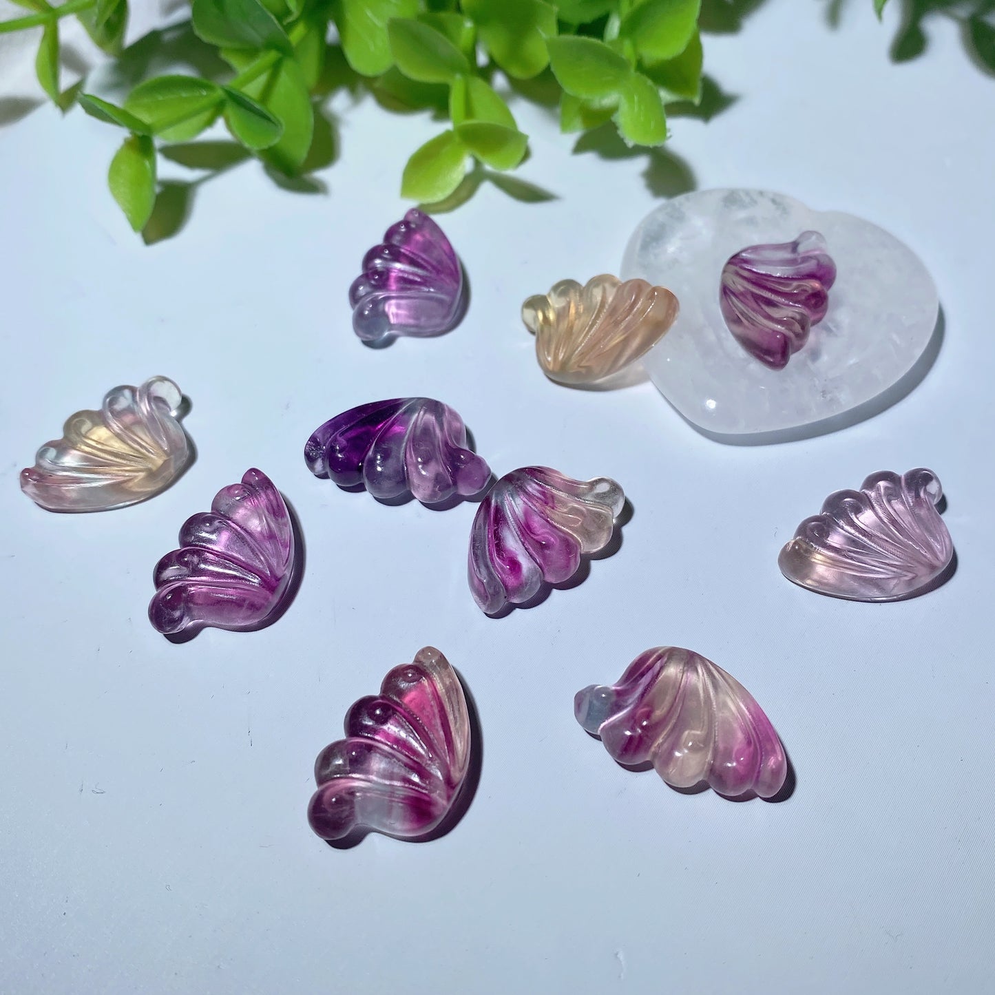 0.8" Mixed Fluorite Wings for Jewelry DIY Crystal Healing Bulk Wholesale
