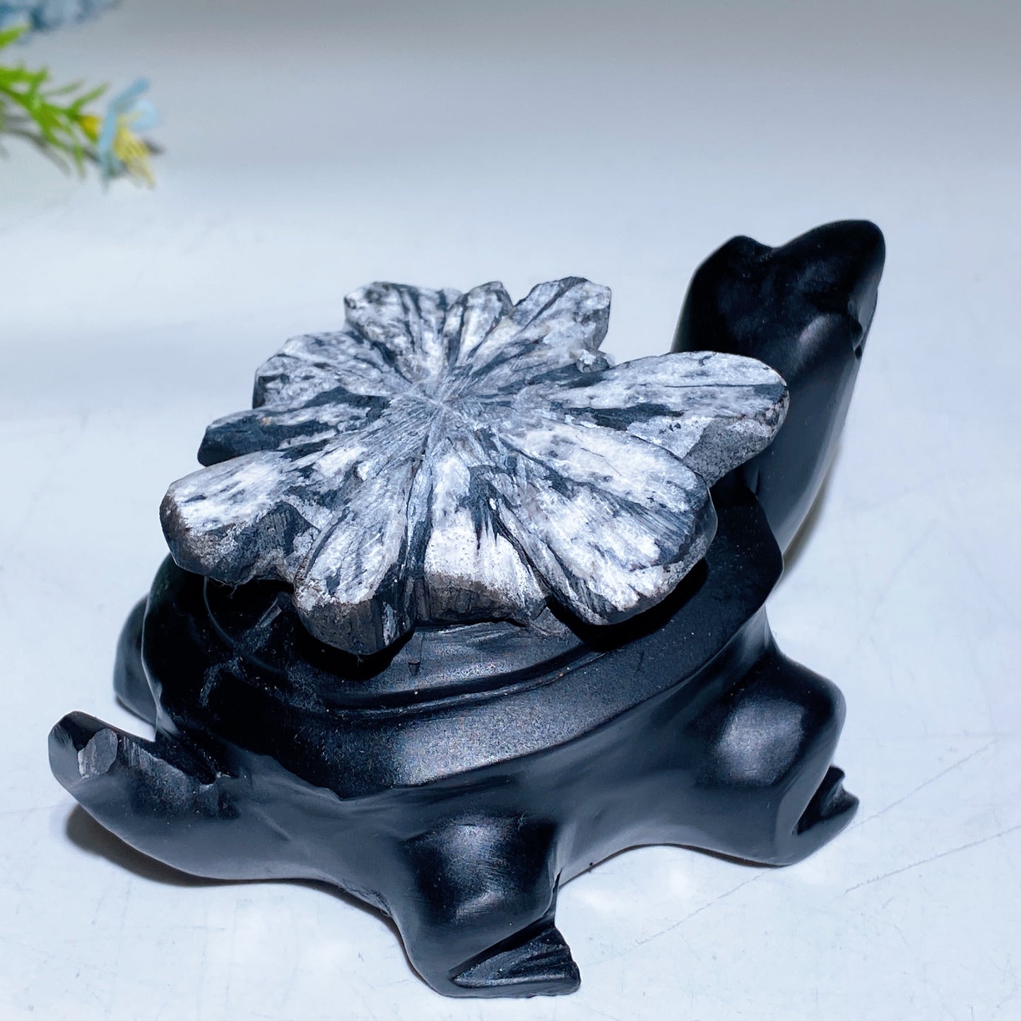 4.6" Chrysanthemum Turtle Carving Crystal Healing Bulk Wholesale