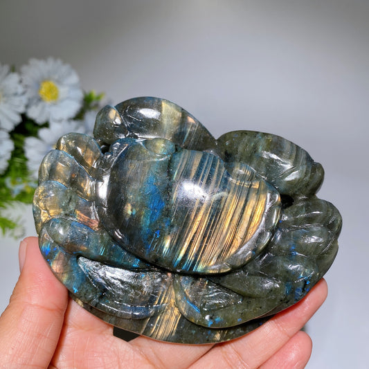 4.2" Unique Labradorite Crab Carving Crystal Healing Bulk Wholesale