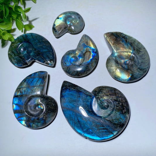 1.5"-3.0" Labradorite Shell Carvings Crystal Healing Bulk Wholesale