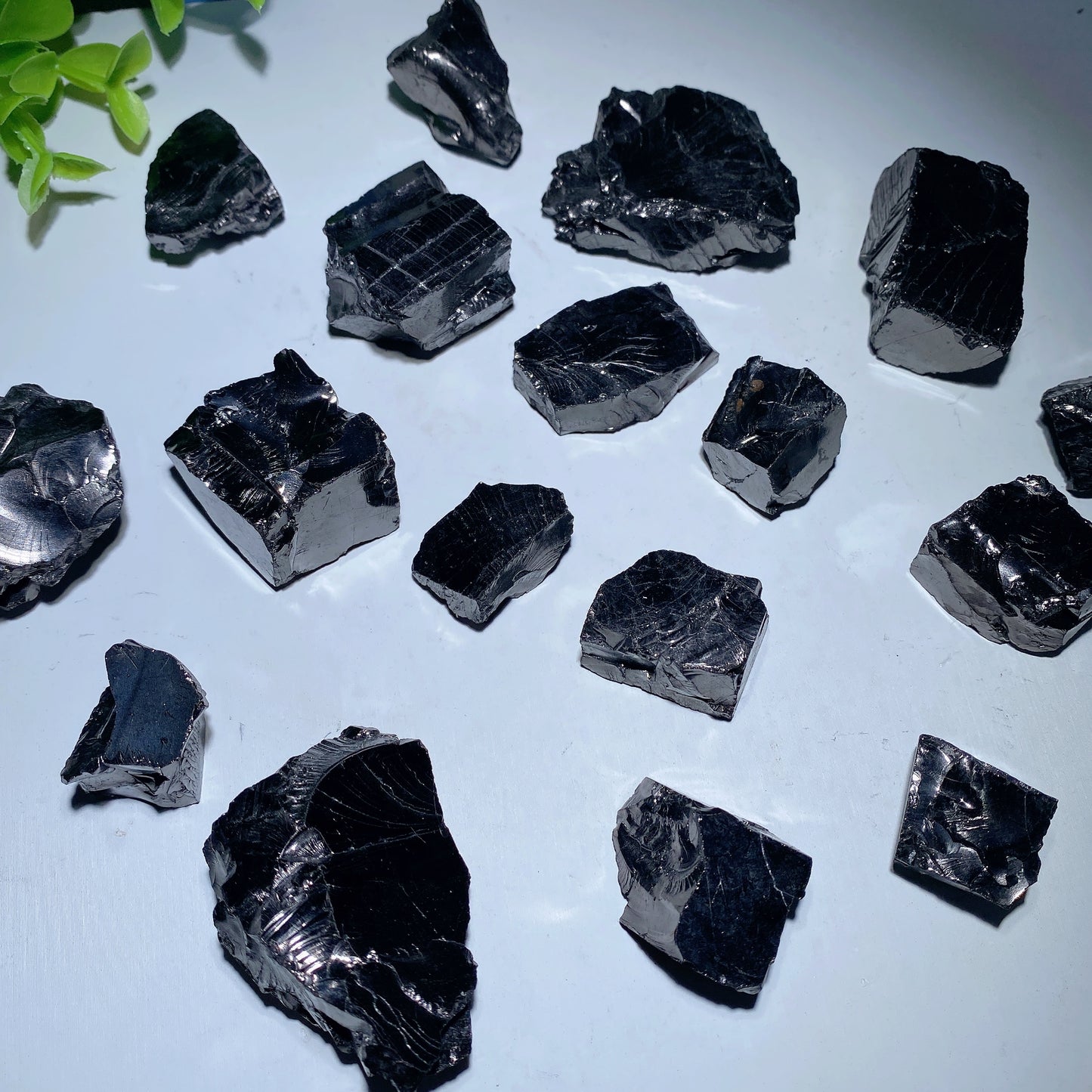 Columbia Elite Noble Schungite Raw Chunks Crystal Healing Bulk Wholesale