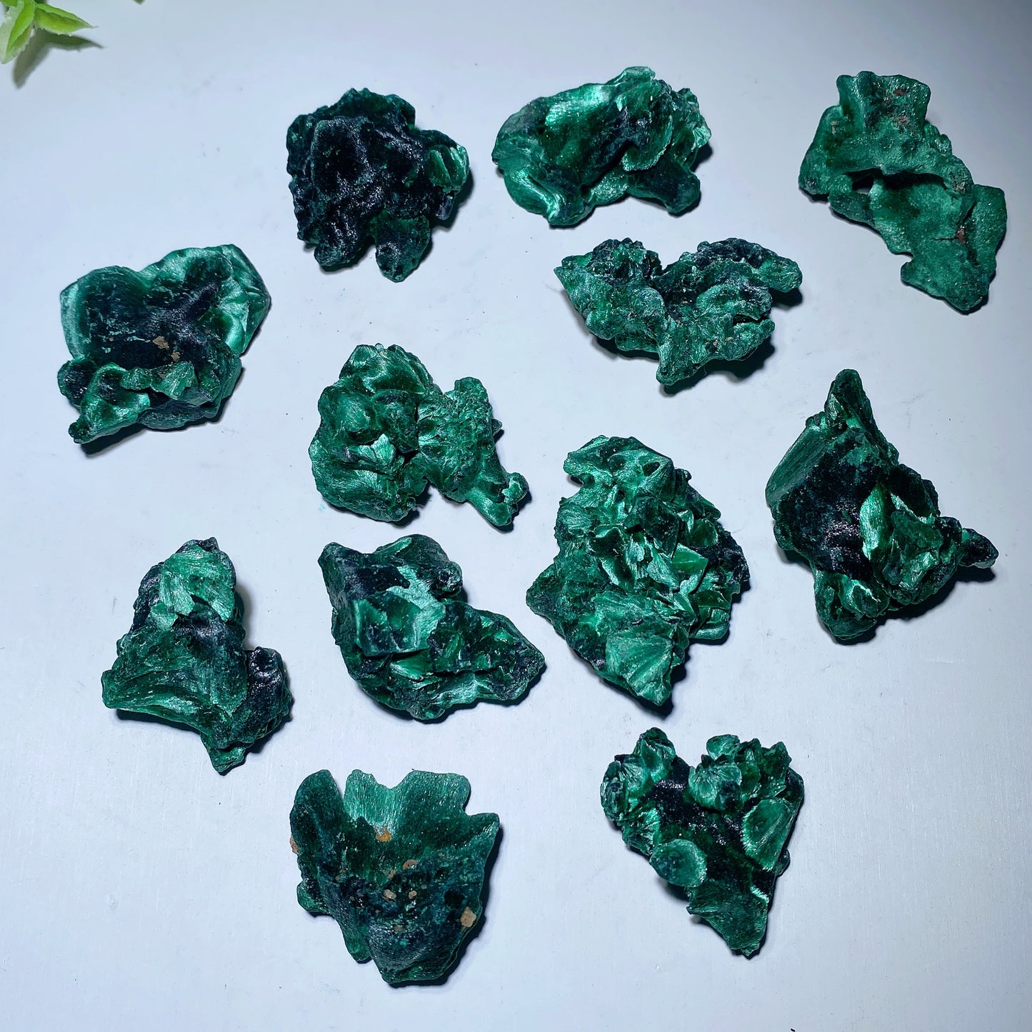 Malachite Raw Chunks Crystal Healing Bulk Wholesale