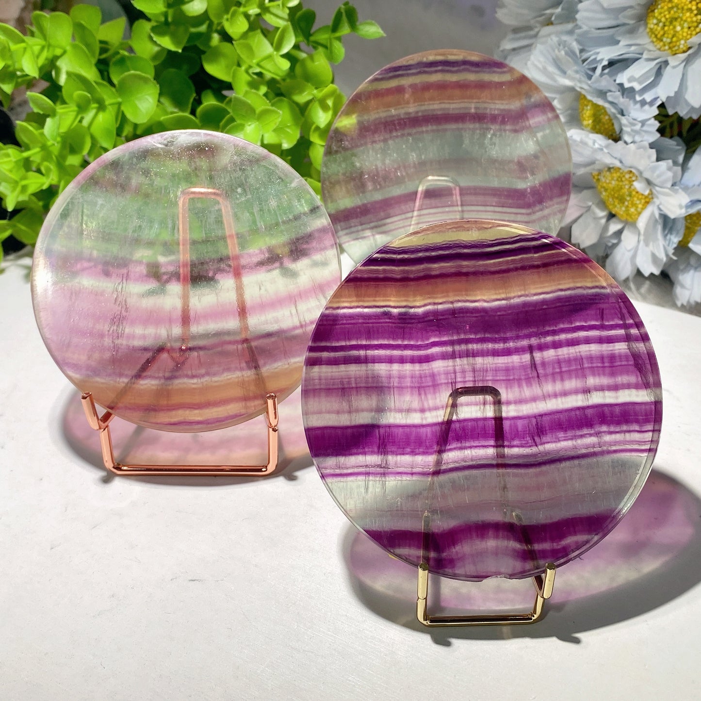 3.5" Fluorite Round Slab Crystal Healing Bulk Wholesale