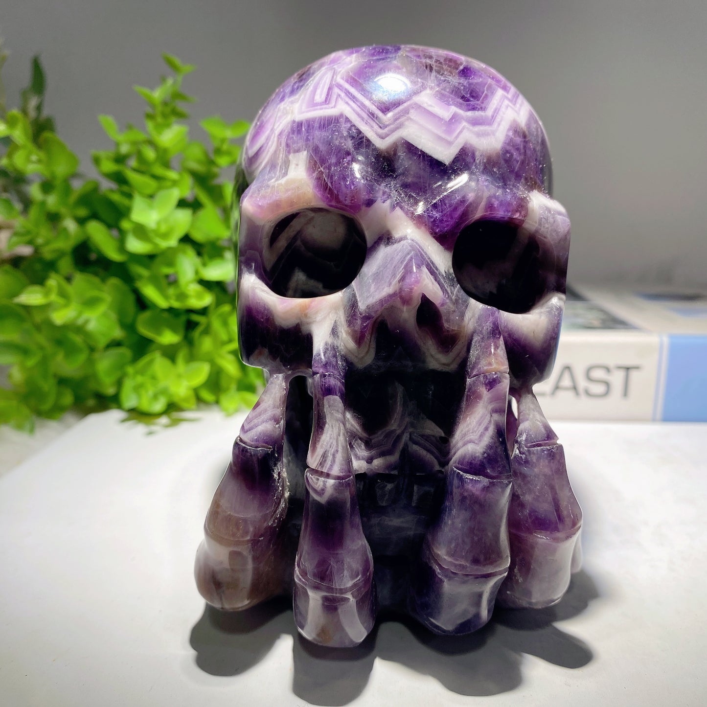 5.0" Unique Dream Amethyst Skull Carvings Crystal Healing