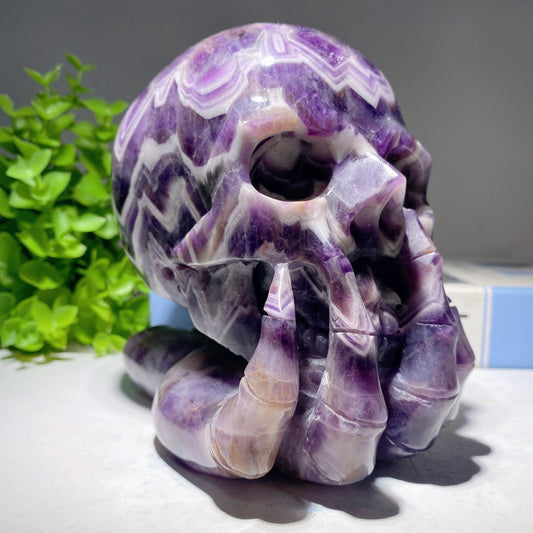 5.0" Unique Dream Amethyst Skull Carvings Crystal Healing