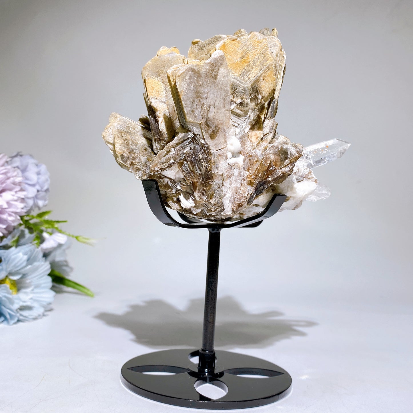 Unique Golden Mica Grow with Aquamarine Black Tourmaline & Quartz Specimen with Stand Crystal Healing Bulk Wholesale