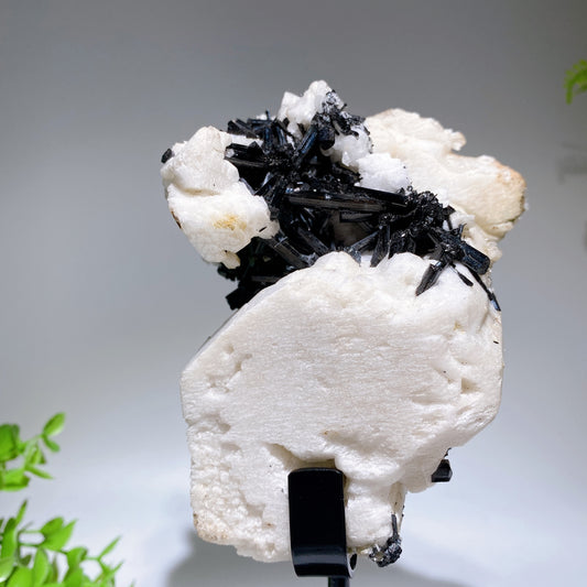 Unique 18cm Black Tourmaline In Feldspar Specimen with Stand