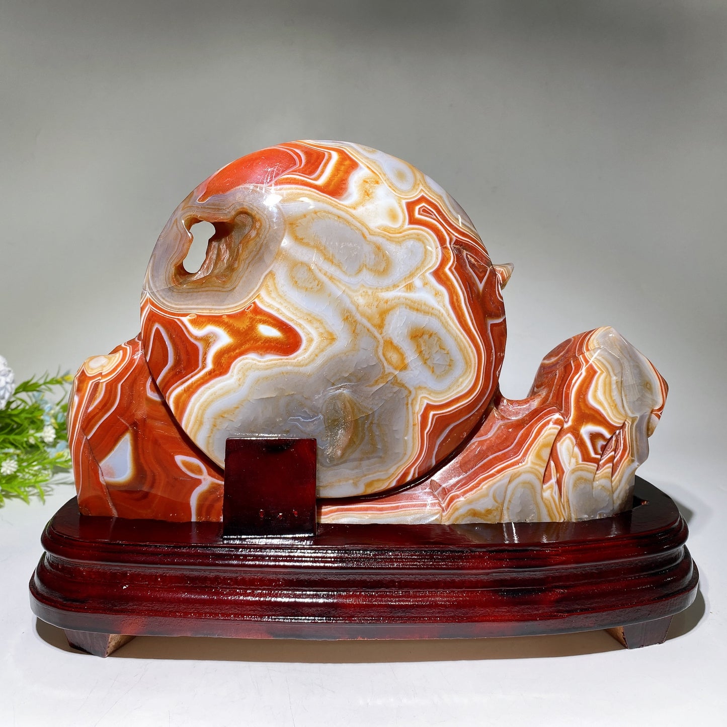 28cm Large Unique Sardonyx Nine-tails Fox Carving Crystal Healing Bulk Wholesale