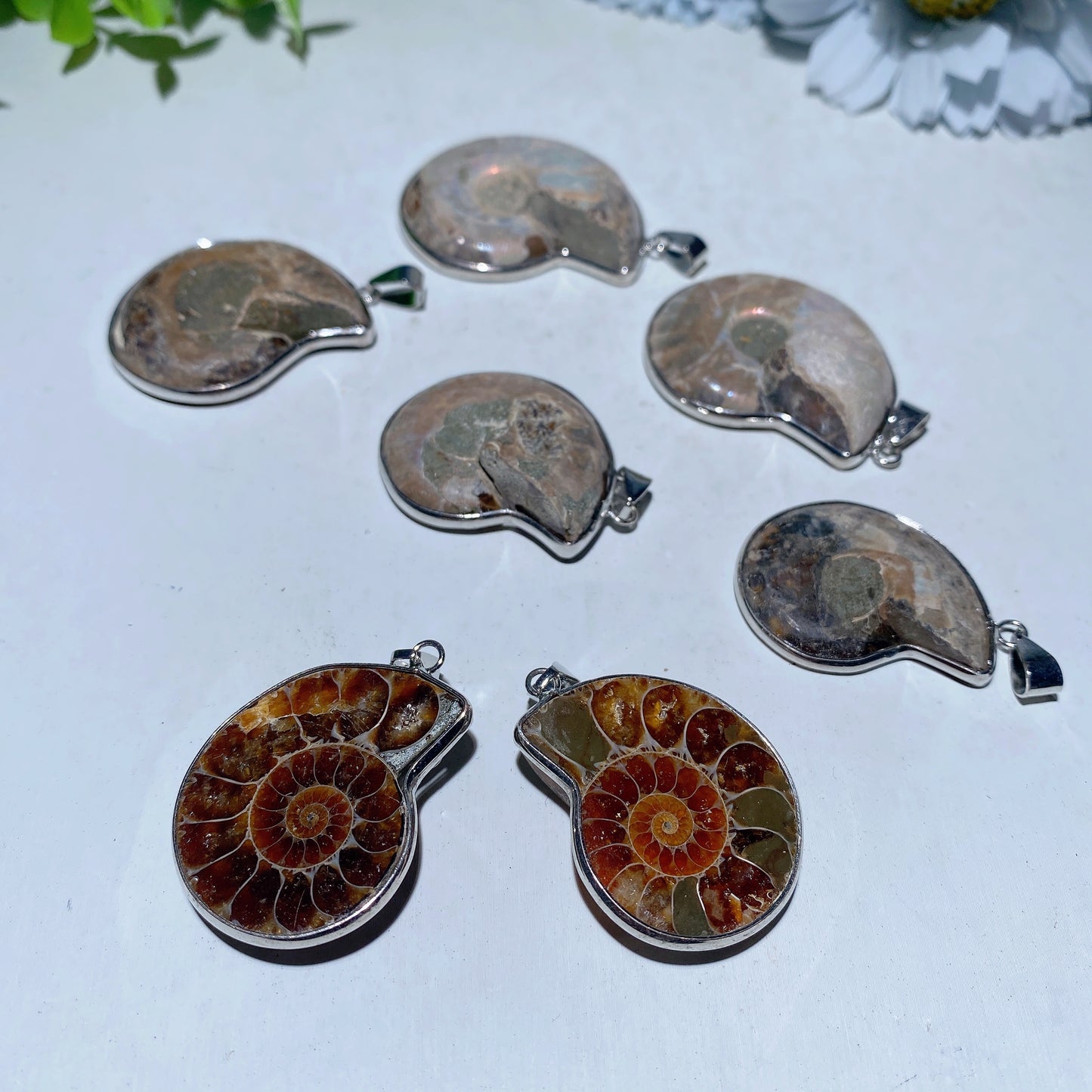 1.3"-1.6" Ammonite Pendant Crystal Healing Bulk Wholesale
