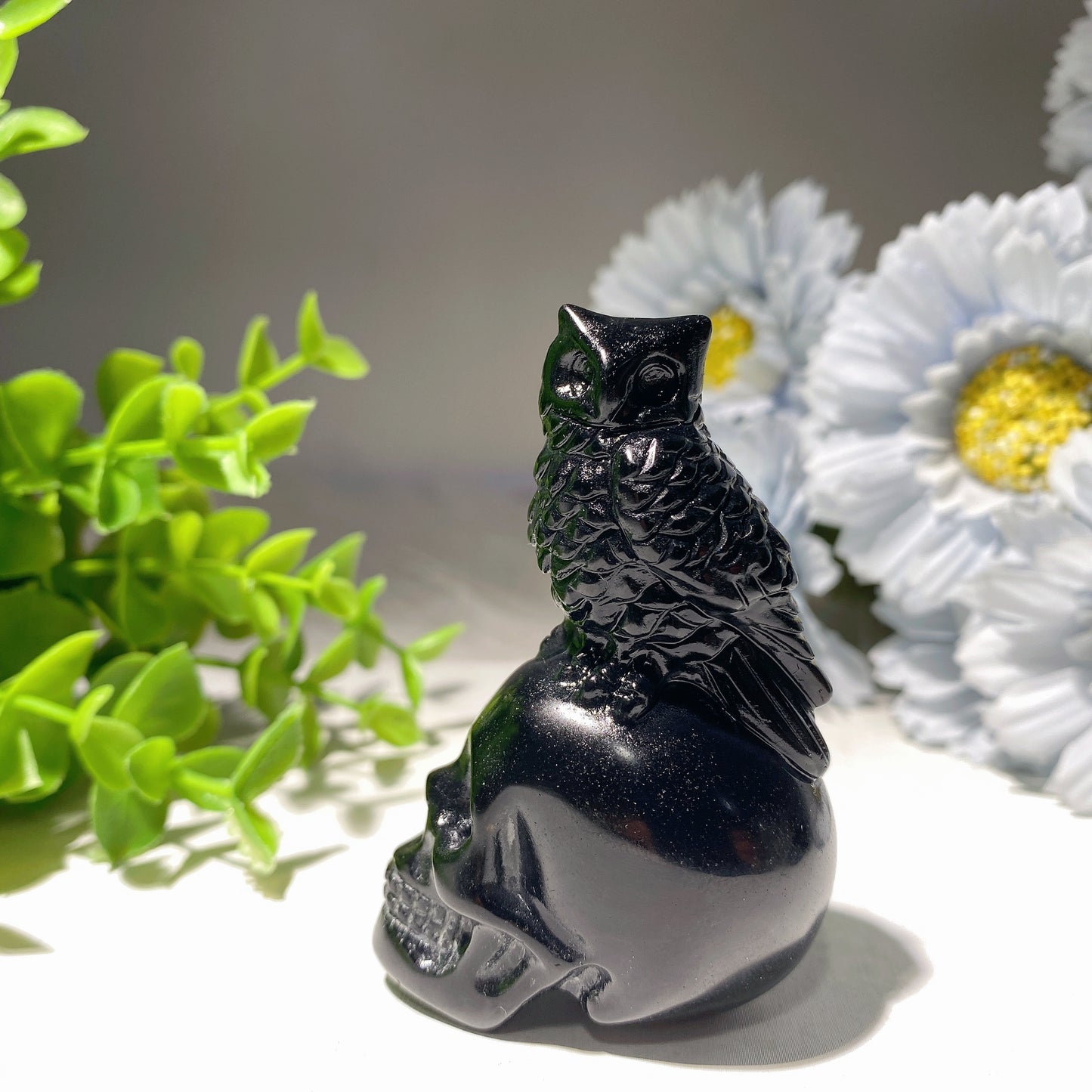 2.8" Black Obsidian Skull with Bird Carvings for Halloween Crystal Healing Bulk Wholesale