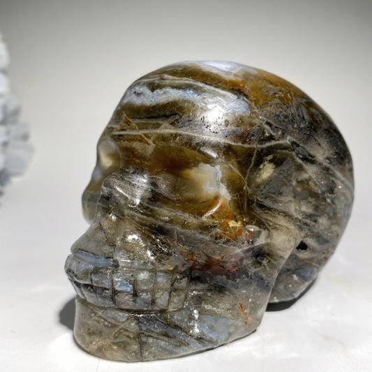 3.3" Moss Agate Grow with Fluorite Skull Carvings Crystal Healing Bulk Wholesale