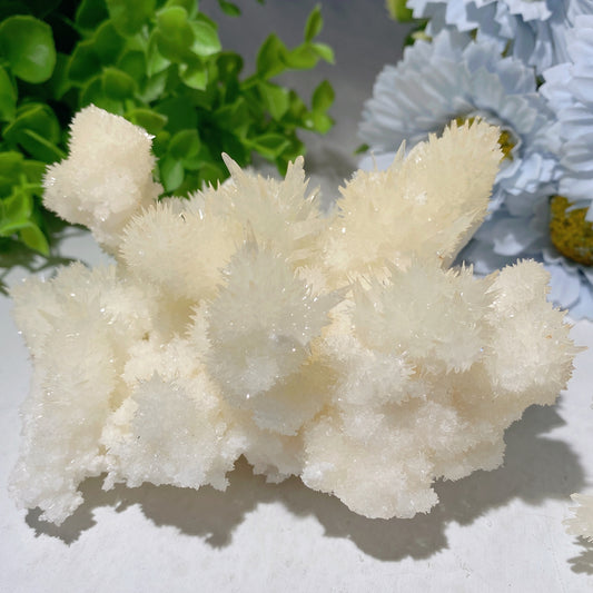 Selenite Growing with Calcite Specimen Crystal Healing Bulk Wholesale