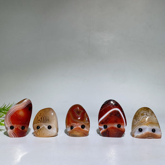 1.4"-2.0" Sardonyx Groot Head Crystal Healing Bulk Wholesale