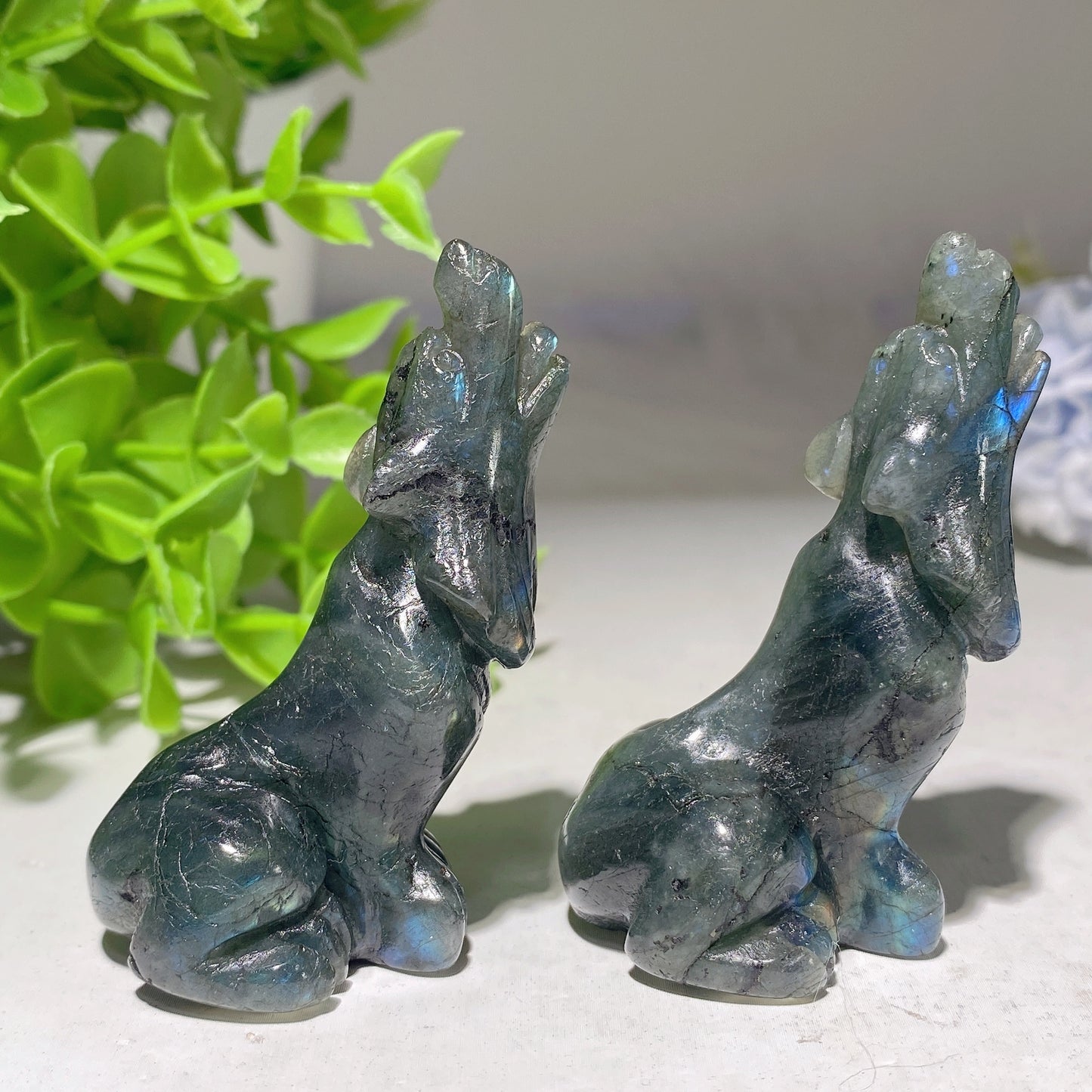 2.2" Yellow Tiger's Eye Labradorite Wolf Carvings Crystal Healing Bulk Wholesale