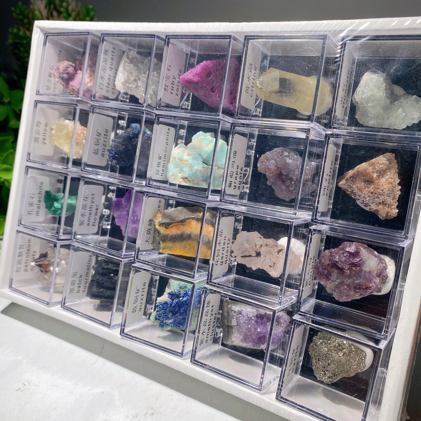 Mixed Crystal Specimen Box Collection Crystal Healing Bulk Wholesale