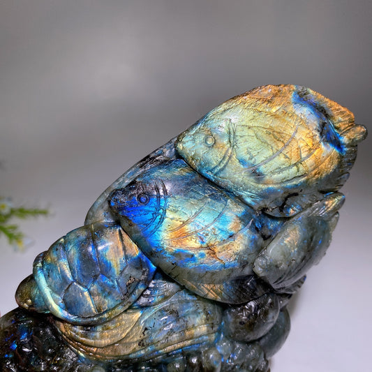 Unique Labradorite Ocean Coral Fish Carving Crystal Healing Bulk Wholesale