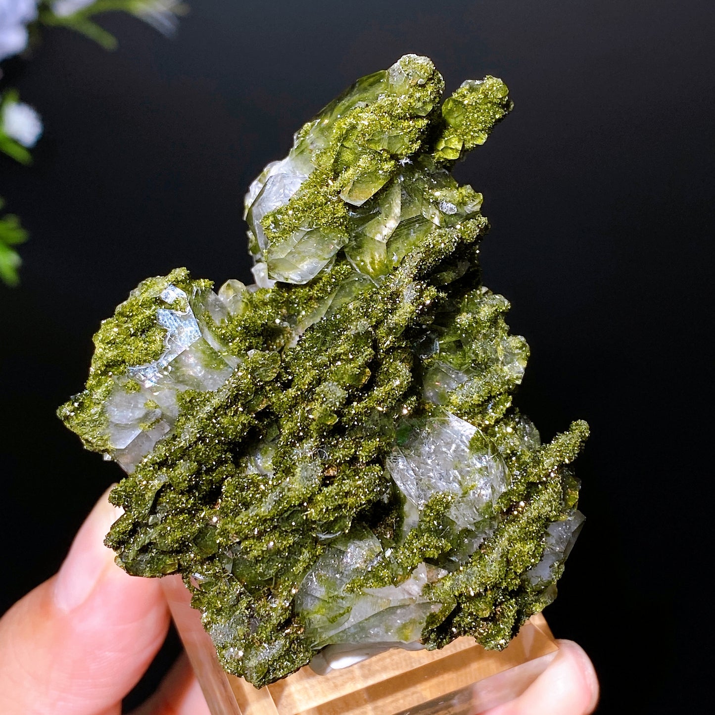 Forest Epidote with Quartz Specimen Crystal Healing Bulk Wholesale