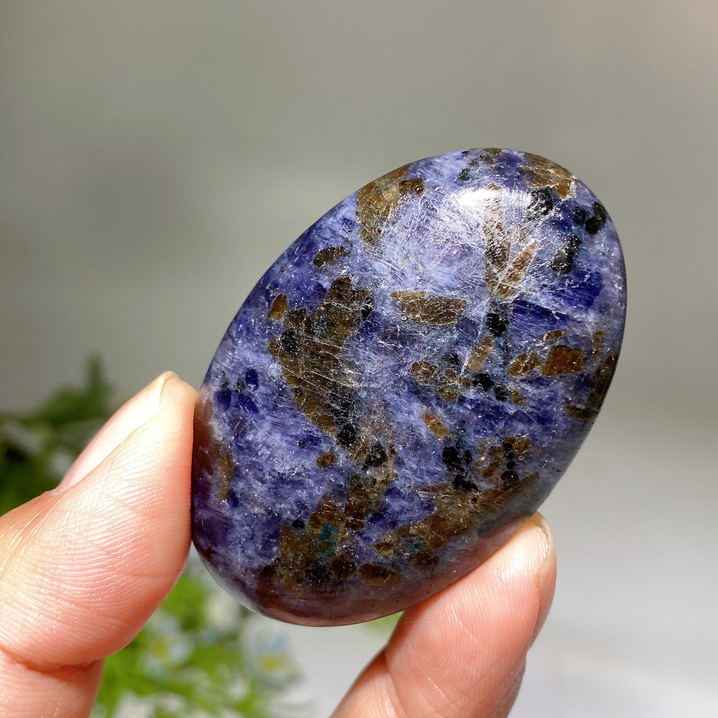 2.2" Cordierite Palm Crystal Healing Bulk Wholesale