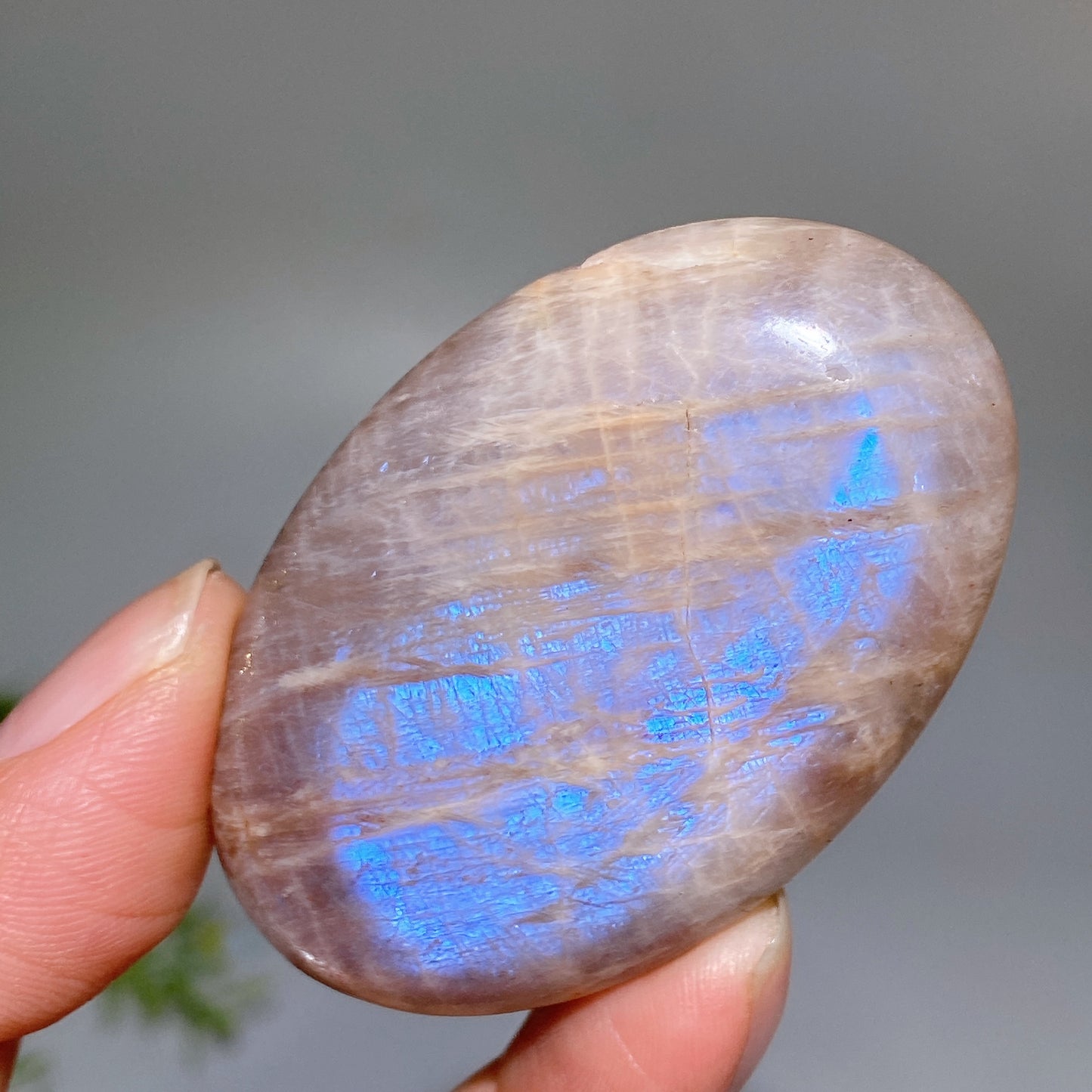 2.2" Peach Moonstone Palm Crystal Healing Bulk Wholesale