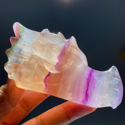3.6" Fluorite Dragon Head Carvings Crystal Healing Bulk Wholesale