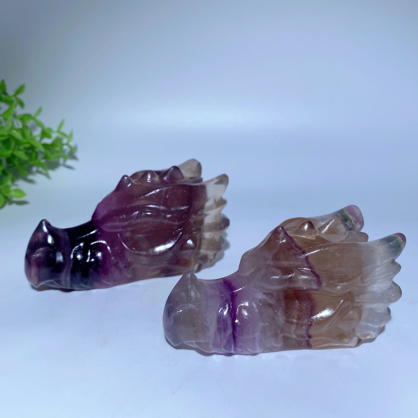 3.6" Fluorite Dragon Head Carvings Crystal Healing Bulk Wholesale