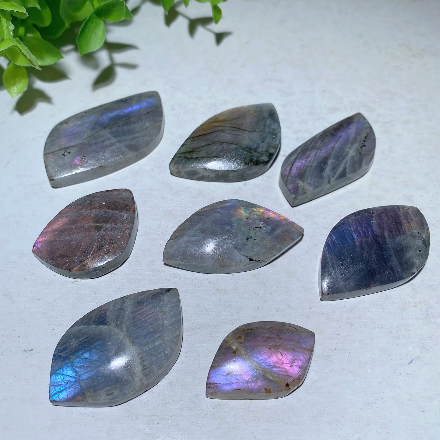 1.0"-2.0" Labradorite Palm Stone Crystal Healing Bulk Wholesale