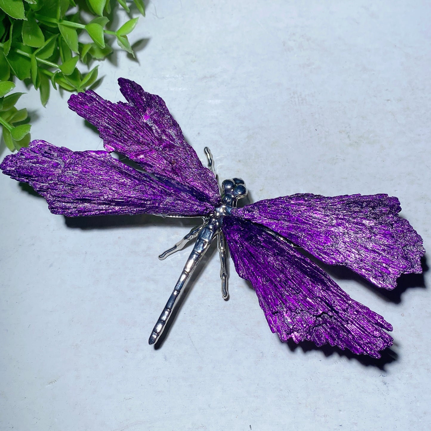 5.2" Aura Kyanite Dragonfly Free Form Crystal Healing Bulk Wholesale