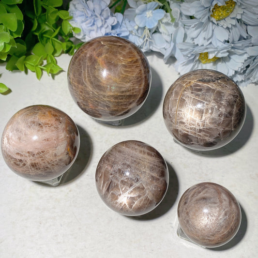 1.5"-3.0" Dark Moon Stone Sphere Crystal Healing Bulk Wholesale