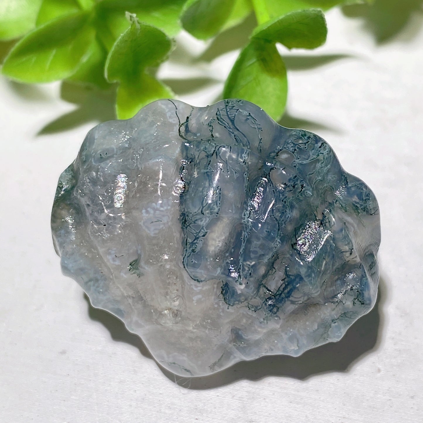 1.3" Mixed Crystal Shell Carvings Crystal Healing Bulk Wholesale